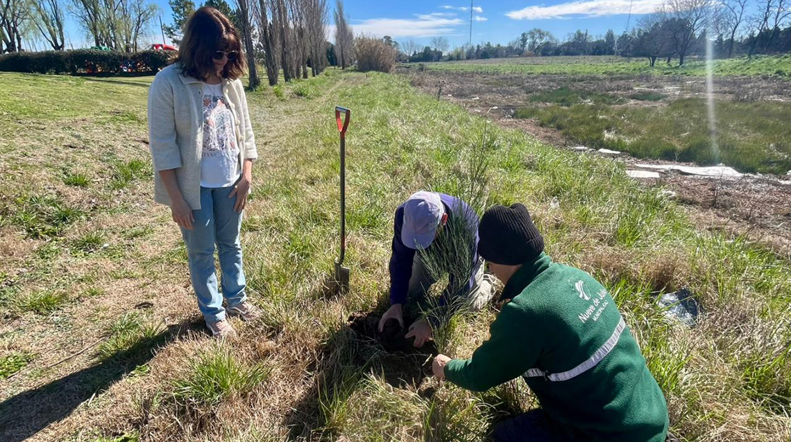 Rotary Club don&oacute; &aacute;rboles al Municipio 