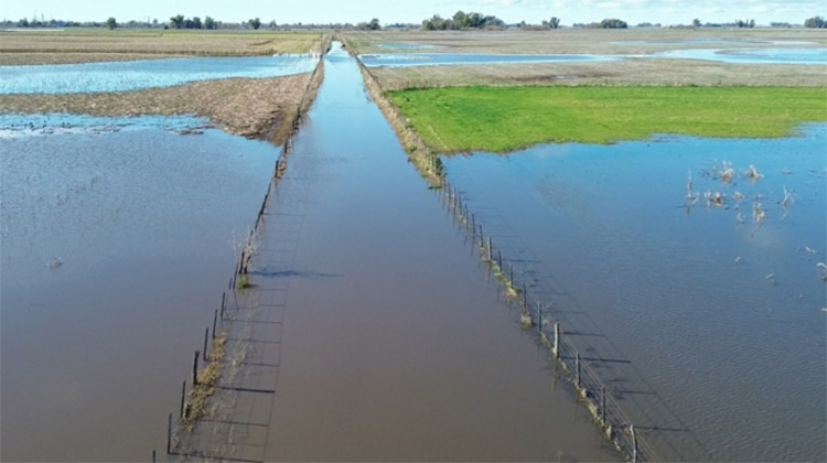 ​Declaran Emergencia Agropecuaria en 9 de Julio por las inundaciones