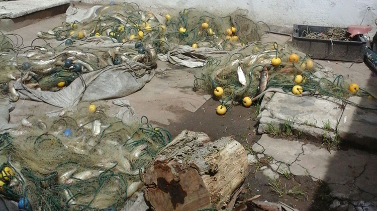 Otro golpe a la pesca clandestina 