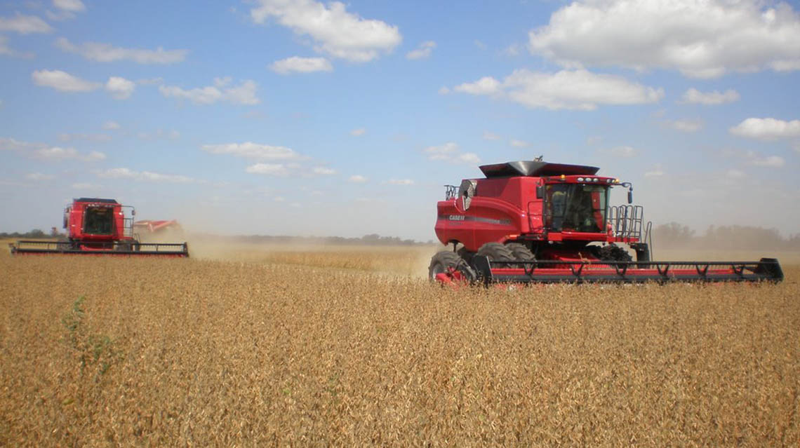 Llovi&oacute; justo para salvar la cosecha
