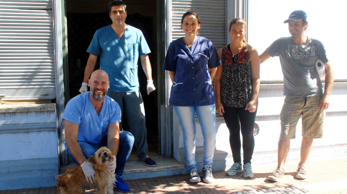 Campaña de castraciones