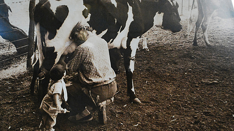 D&iacute;a del tambero