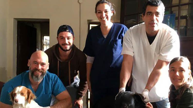 Campaña de castraciones