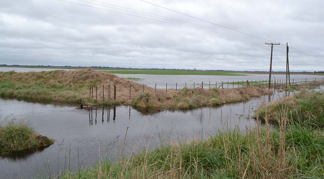 La Rural advierte sobre situaci&oacute;n h&iacute;drica