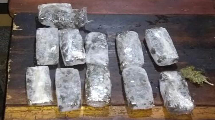 Positivo allanamiento por drogas 