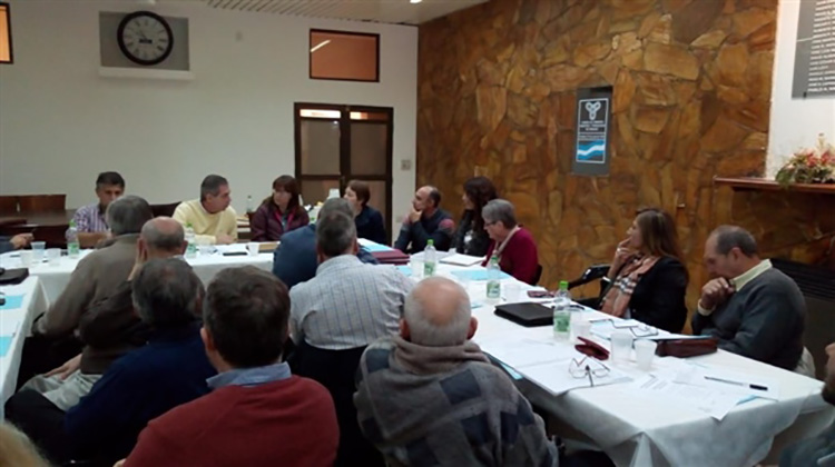 Nucleamiento Empresarial