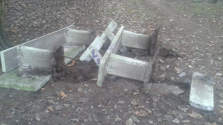 ​Vandalismo en el parque