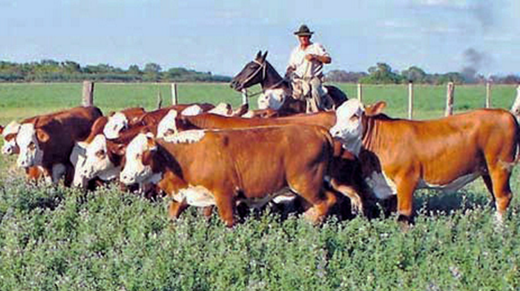 Jornada sobre ganadería agroecológica