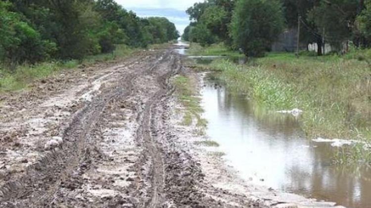 Alerta Caminos rurales