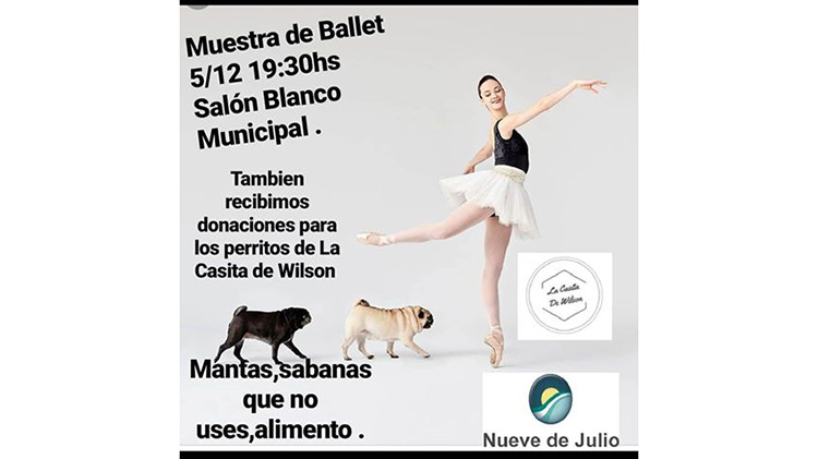 ​Gran Ballet Solidario