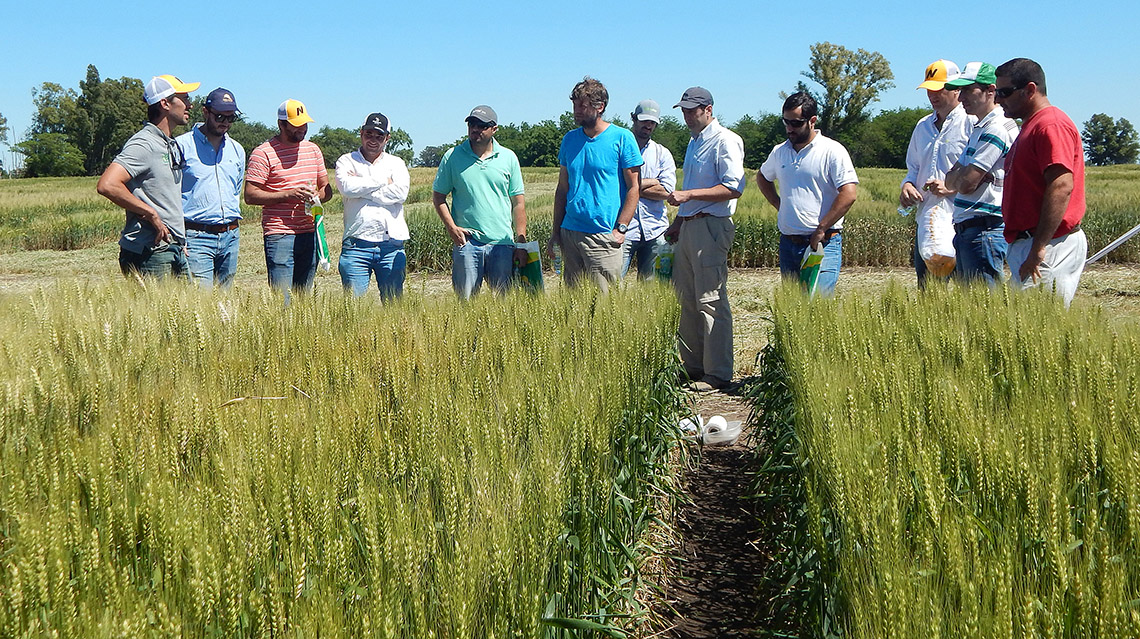 ​Recrear el v&iacute;nculo de confianza
