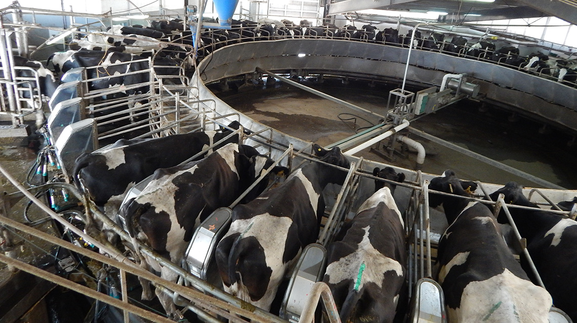 ​Sociedad Rural de 9 de Julio realiz&oacute; un balance del sector