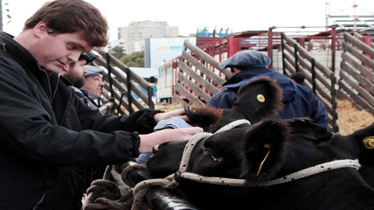 Actividades de extensi&oacute;n formativa