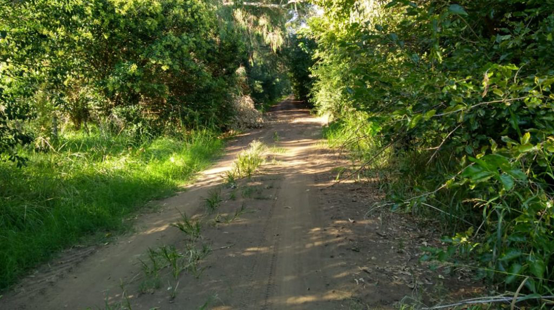​Preocupaci&oacute;n por los caminos rurales