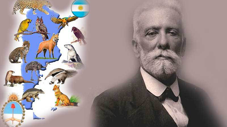 Dia del Animal 