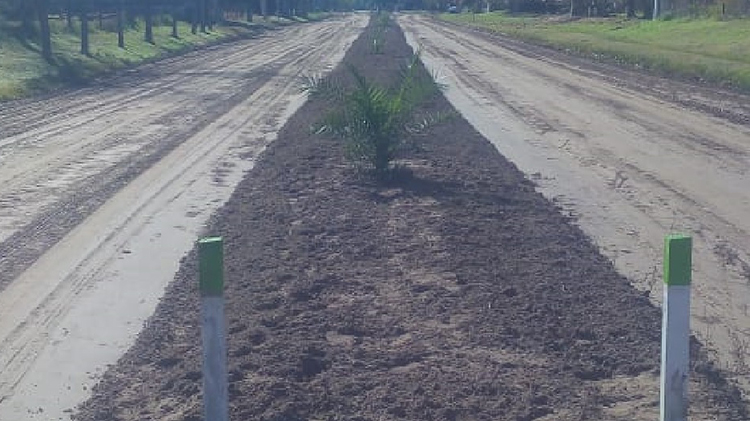 ​Construyen nuevas ramblas