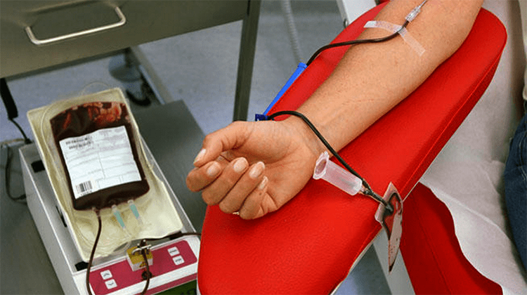 ​D&iacute;a Mundial del Donante de Sangre