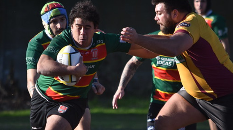 ​Resumen semanal del rugby
