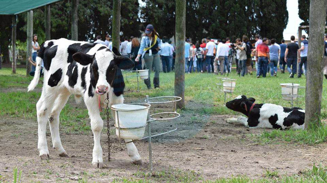 Agro 2023 en 9 de Julio