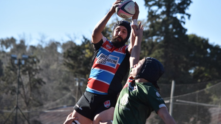 ​Resumen semanal del rugby