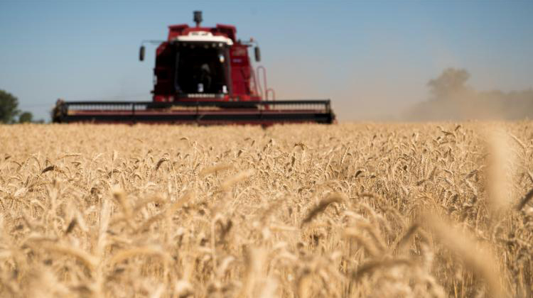 Prevenci&oacute;n a d&iacute;as de la cosecha