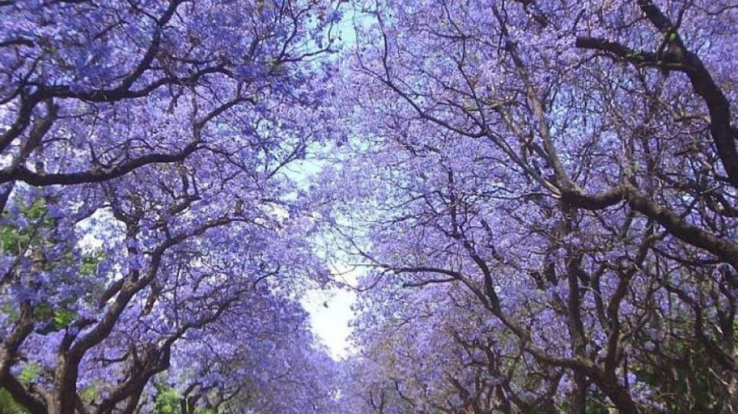 Nueva plazoleta en Dudignac