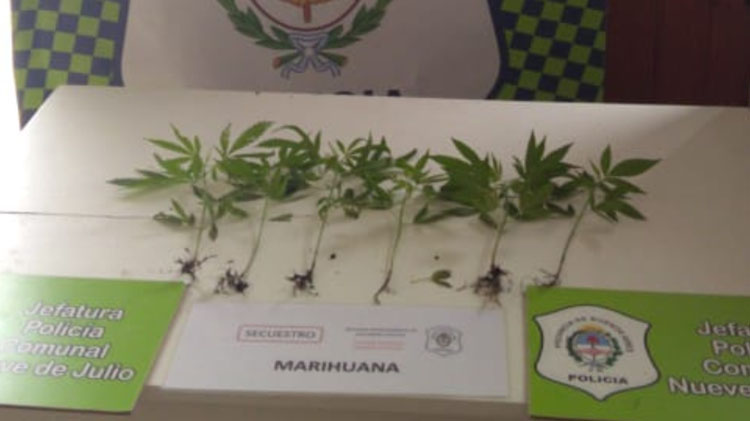 Operativos de la Comunal