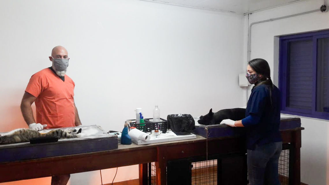 ​Contin&uacute;an las castraciones