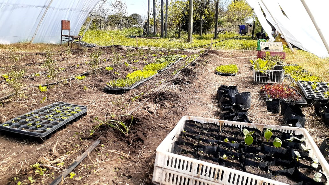 12 de Octubre: Proyecto hort&iacute;cola