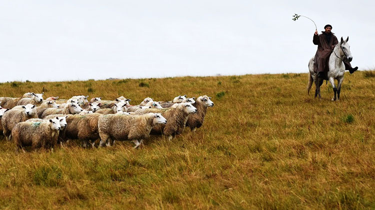 D&iacute;a del Trabajador Rural
