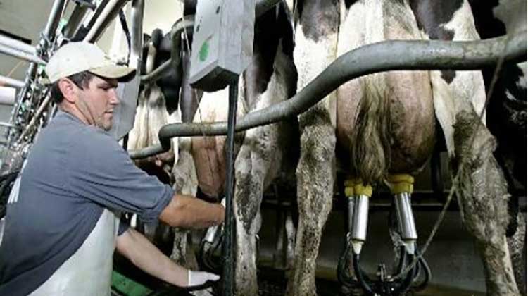 Solidaridad y apoyo a los tamberos