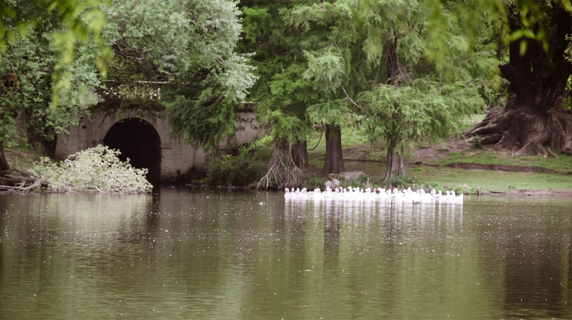 Parque Gral. San Mart&iacute;n