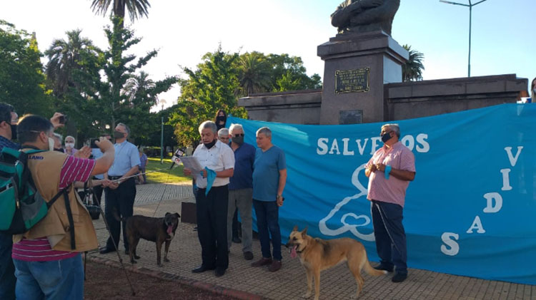 Marcha por las 2 vidas